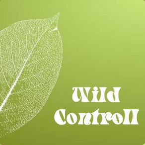 Download track Ride A Long Wild Controll