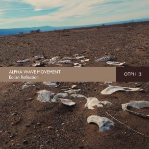 Download track The Crossroads Of Time & Silence Alpha Wave Movement