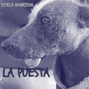 Download track La Puesta (Surmenage) Estela Morrison