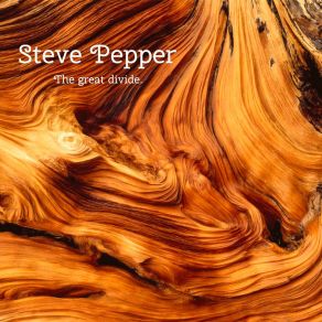 Download track That Song Steve Pepper