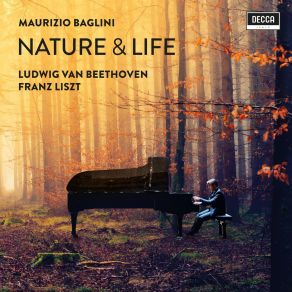 Download track 21. No. 7c, Allegro Pastorale Maurizio Baglini