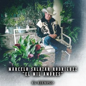 Download track La Más Bonita Marcelo Salazar Rodríguez 