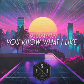 Download track You Know What I Like (Save The Robots Bls Remix) KuddsnackSave The Robots