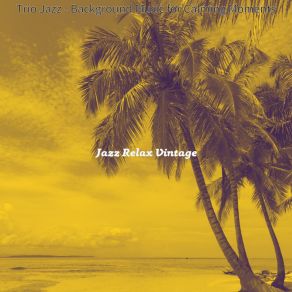 Download track Sunny Jazz Guitar Trio - Vibe For Staycations Jazz Relax Vintage