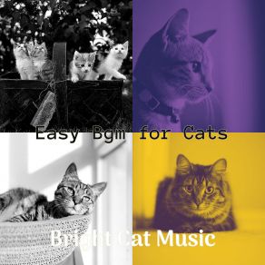 Download track Sophisticated Jazz Guitar Trio - Vibe For Cute Cats Bright Cat Music