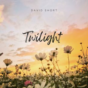 Download track Rain Music David Short