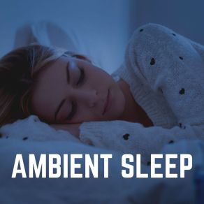 Download track Ambient Music For A Good Nights Sleep, Pt. 16 Sleep Music Dreams