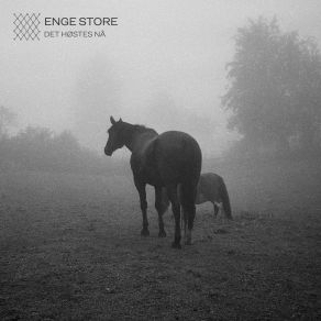 Download track Stjerneløse Elver Enge Store