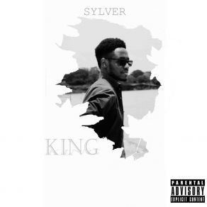 Download track F It All Sylver