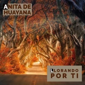 Download track Pobrecito Corazón Anita De Huayana