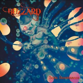 Download track Sea Witch Buzzard