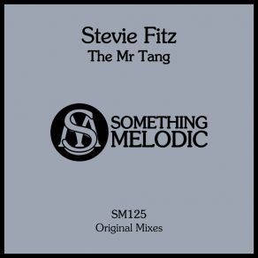 Download track Electromagnetic (Original Mix) Stevie Fitz