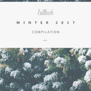 Download track Bullfinch Winter Compilation 2017 (Continuous Mix) Bullfinch