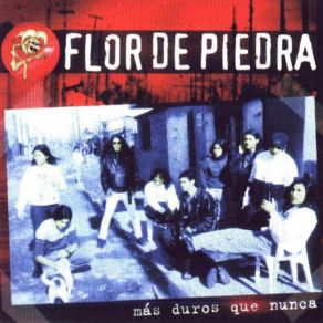 Download track La Jarra Loca Flor De Piedra