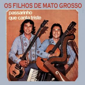 Download track Falso Juramento Os Filhos De Mato Grosso