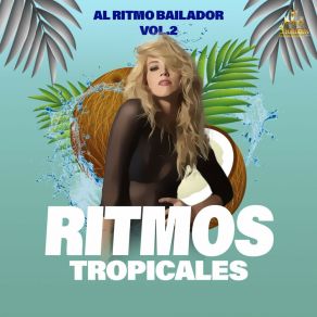 Download track Al Ritmo De Mi Violin Ritmos Tropicales