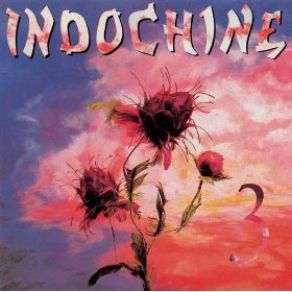 Download track She Night (Instrumental) Indochine