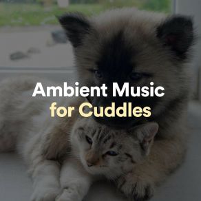 Download track Ambient Sustain Ambient Music Collective