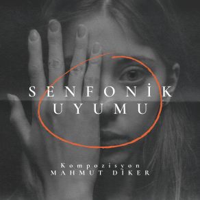 Download track Senfonik Uyumu 2 Mahmut Diker