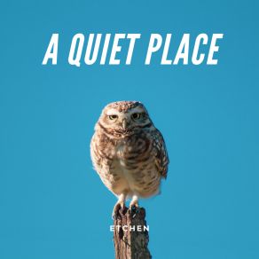 Download track Quiet Spaces Etchen