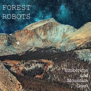 Download track Through The Trees And Into Wide Open Landscapes Forest Robots