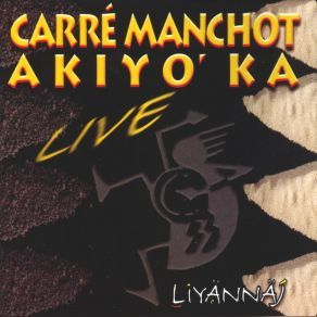 Download track An Dro Carré Manchot, Akiyo'ka