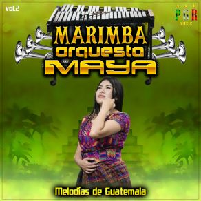 Download track Lagrimas De Nuera Marimba Orquesta Maya