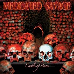 Download track My Friend The Leveler Medicated Savage