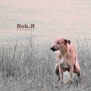 Download track Unfollowed Rob R