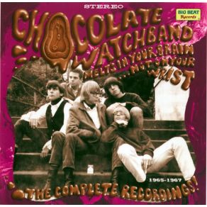 Download track Let'S Talk About Girls The Chocolate Watchband