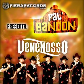 Download track Los Cabellos Largos Venenosso