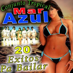 Download track No Vas A Creer Conjunto Tropical