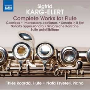 Download track 4.30 Caprices For Solo Flute Op. 107 - No. 1 Tempo Giusto Sigfrid Karg - Elert