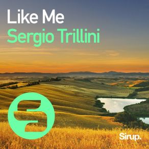 Download track Like Me (Original Club Mix) Sergio Trillini