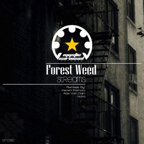 Download track Streams (Abe Van Dam Remix) Forest Weed