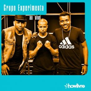 Download track Um Amor Puro (Ao Vivo) Grupo Experimenta