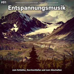 Download track Entspannungsmusik Pt. 62 Entspannungsmusik