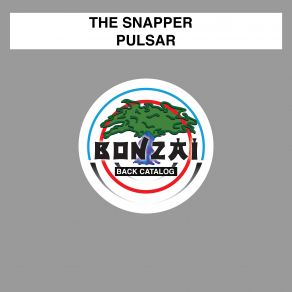 Download track Pulsar (Original Mix) The Snapper