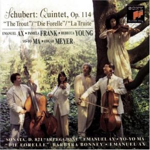 Download track Adagio For Piano Trio In E-Flat Major, D. 897 'Nutturno' Schubert, L' Archibudelli, Immerseel