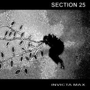 Download track Inner Drive (Chaos Mix) Section 25