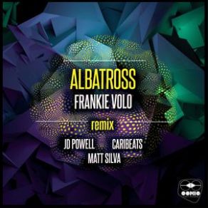 Download track Albatross (JD Powell Remix) Frankie Volo