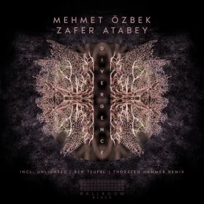 Download track Divergence (Ben Teufel, Thorsten Hammer Remix) Zafer AtabeyThorsten Hammer, Ben Teufel