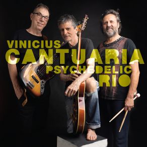 Download track Verde Mata Vinicius Cantuária