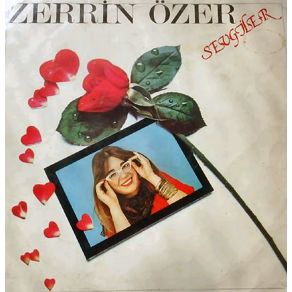 Download track Ayrılıklar Unutulmaz Zerrin Özer