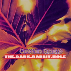 Download track Heartwarming The. Dark. Rabbit. Hole