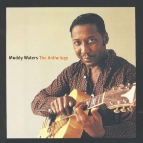 Download track I Feel Like Going Home Muddy Waters