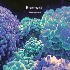 Download track Bioluminescence B. Verwest