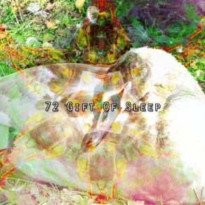 Download track Fantasy Of Sleep Spa