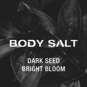 Download track Black Bicycle Body Salt