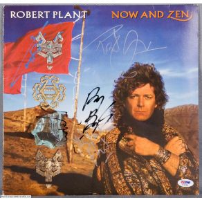 Download track Ship Of Fools (Live 1993) Robert Plant